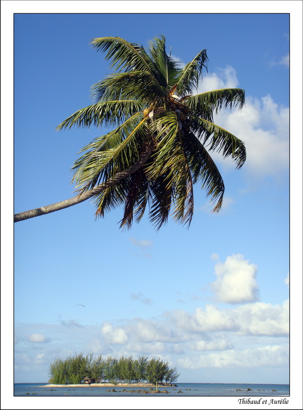 2009 - 08 - Moorea 11